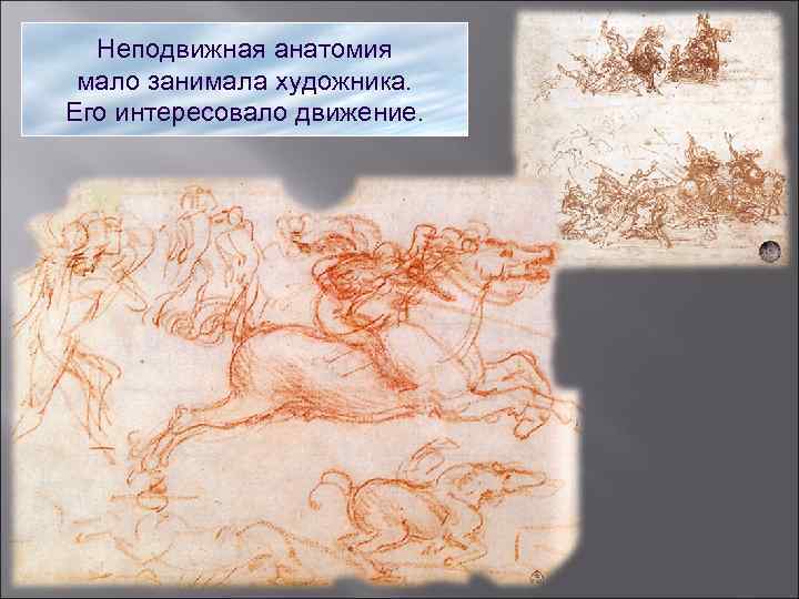 Неподвижная анатомия мало занимала художника. Его интересовало движение. 