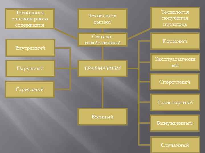 Технология стационарного содержания Внутренний Наружный Технология выпаса Технология получения приплода Сельскохозяйственный Кормовой ТРАВМАТИЗМ Эксплуатационн