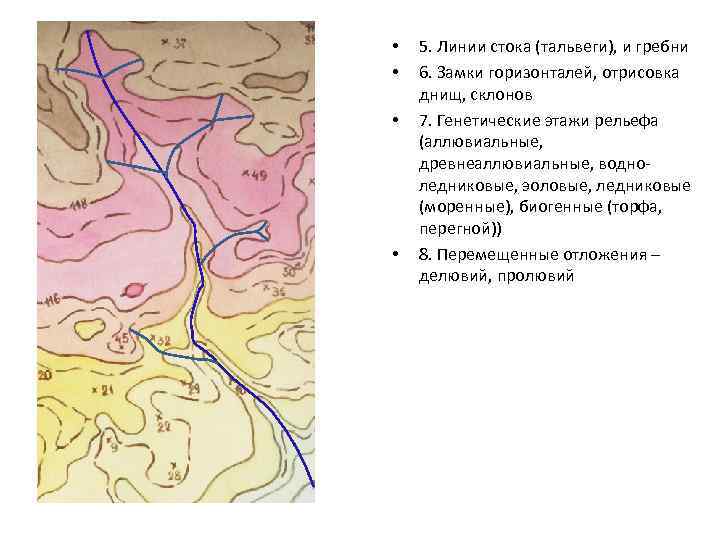  • • 5. Линии стока (тальвеги), и гребни 6. Замки горизонталей, отрисовка днищ,