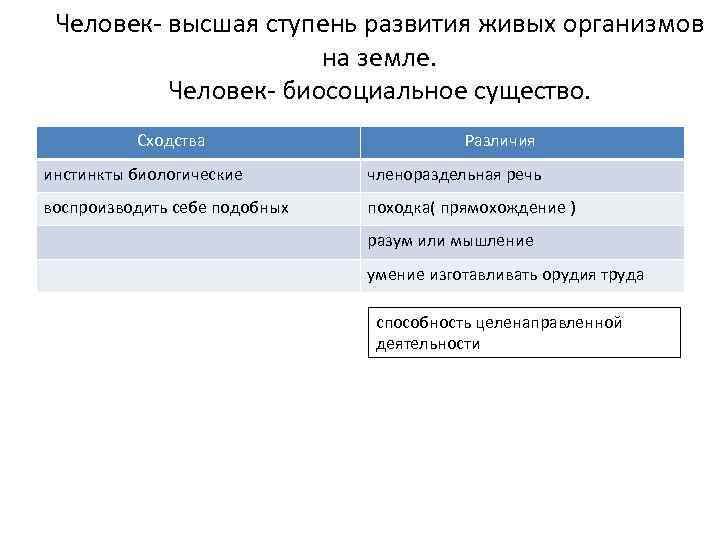 Человек- высшая ступень развития живых организмов на земле. Человек- биосоциальное существо. Сходства Различия инстинкты