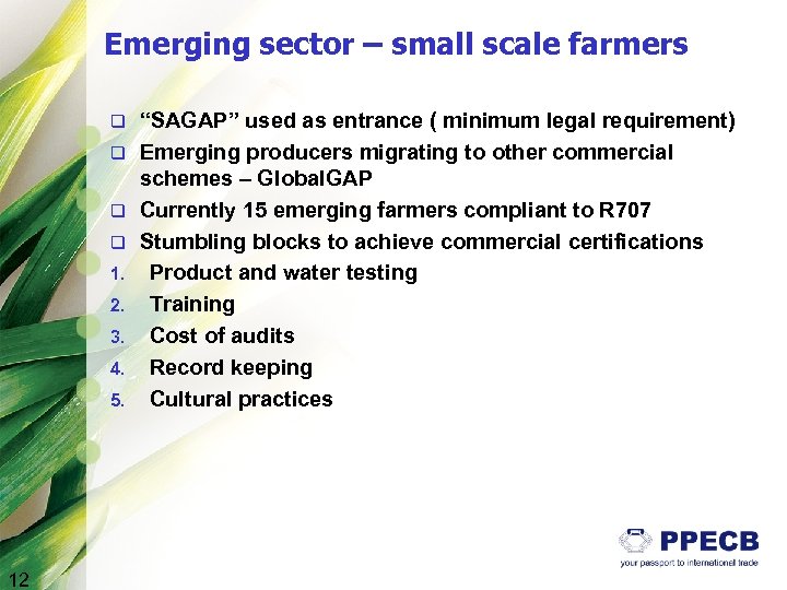 Emerging sector – small scale farmers q q 1. 2. 3. 4. 5. 12