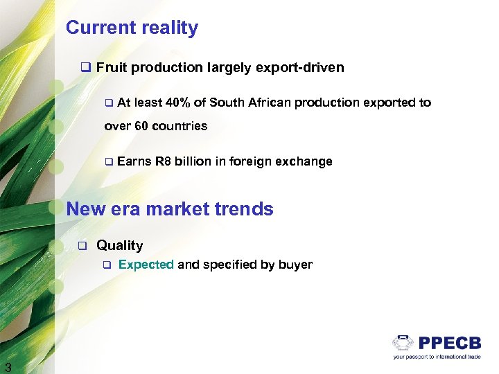 Current reality q Fruit production largely export-driven q At least 40% of South African