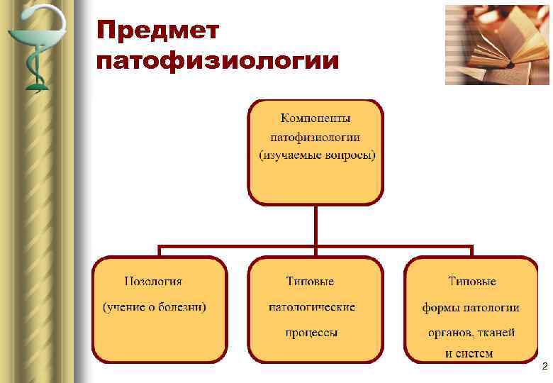 Физиология с основами патофизиологии. Предмет патофизиологии. Предмет изучения патофизиологии. Предмет и разделы патофизиологии. Предмет ПАТ.физиологии.