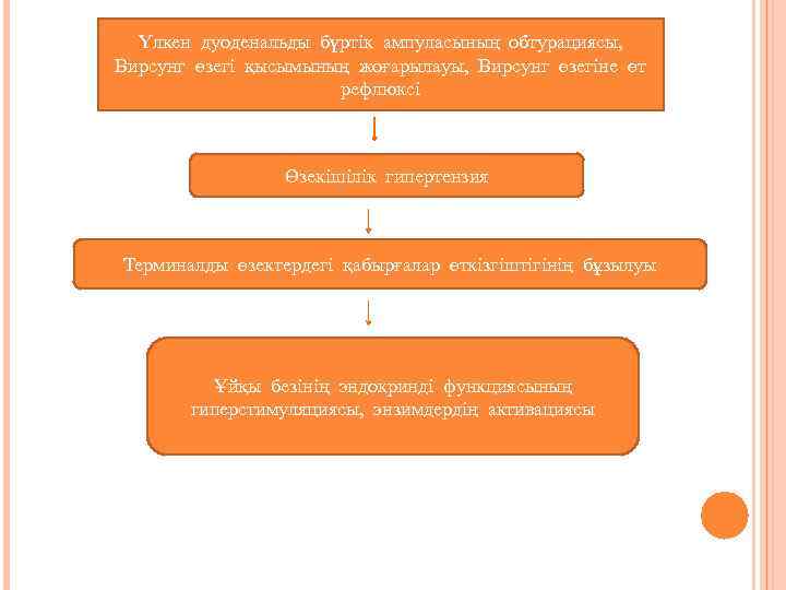 Үлкен дуоденальды бүртік ампуласының обтурациясы, Вирсунг өзегі қысымының жоғарылауы, Вирсунг өзегіне өт рефлюксі Өзекішілік