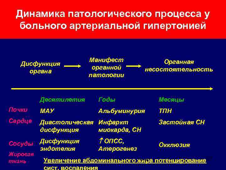 Динамика патологического процесса у больного артериальной гипертонией Дисфункция органа Манифест органной патологии Органная несостоятельность