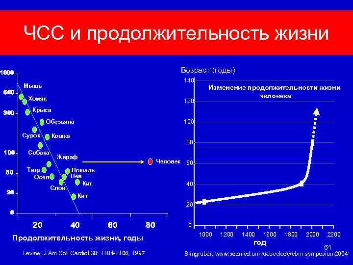 ЧСС и продолжительность жизни Возраст (годы) 1000 600 300 140 Мышь Хомяк 120 Крыса