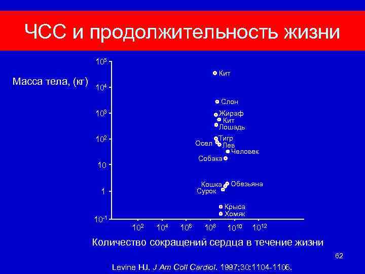 Частота сокращений сердца