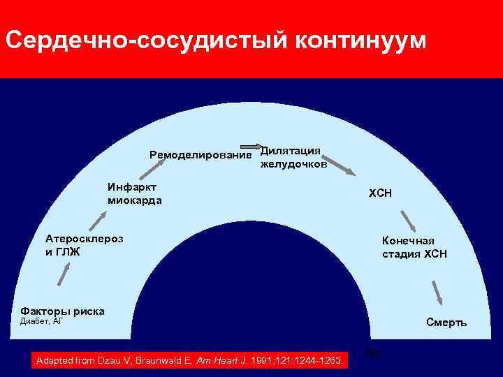 Сердечно-сосудистый континуум Ремоделирование Дилятация желудочков Инфаркт миокарда ХСН Атеросклероз и ГЛЖ Конечная стадия ХСН