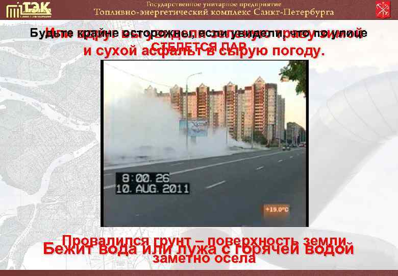 Будьте вдруг вы увидели зеленую травупо улице Или крайне осторожны, если увидели, что зимой