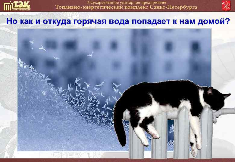 Но как и откуда горячая вода попадает к нам домой? 