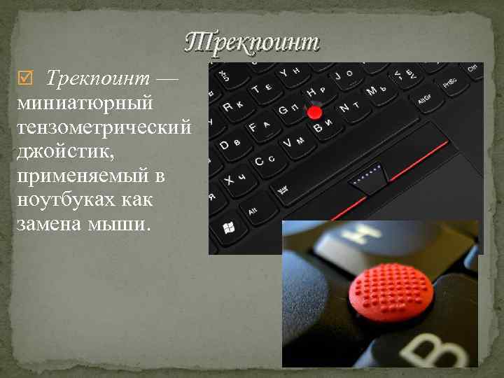 Трекпоинт — миниатюрный тензометрический джойстик, применяемый в ноутбуках как замена мыши. 