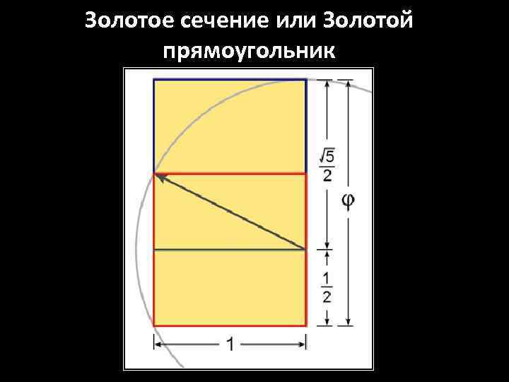 Разрез прямоугольника. Золотое сечение прямоугольника. Построить золотой прямоугольник.