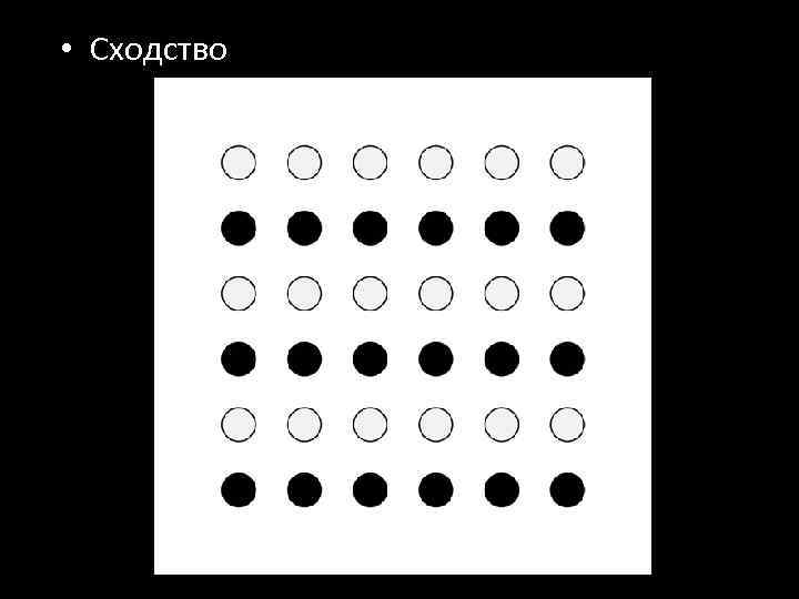  • Сходство 