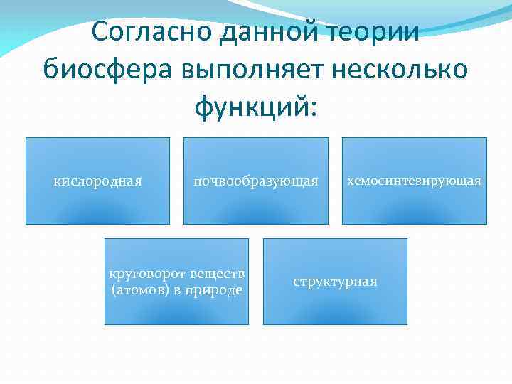 Согласно данной теории биосфера выполняет несколько функций: кислородная почвообразующая круговорот веществ (атомов) в природе