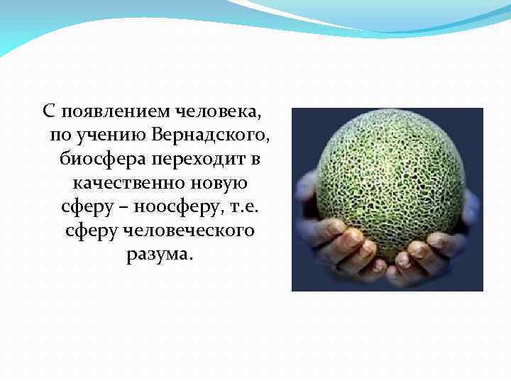 С появлением человека, по учению Вернадского, биосфера переходит в качественно новую сферу – ноосферу,