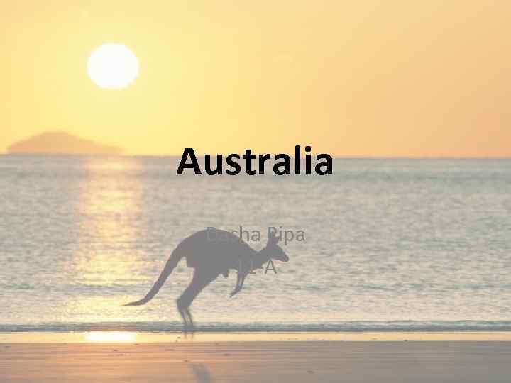 Australia Dasha Pipa 11 -A 