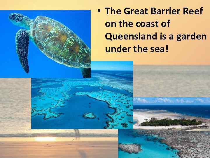  • The Great Barrier Reef on the coast of Queensland is a garden