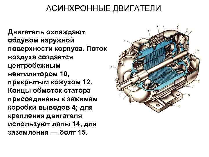 АСИНХРОННЫЕ ДВИГАТЕЛИ Двигатель охлаждают обдувом наружной поверхности корпуса. Поток воздуха создается центробежным вентилятором 10,