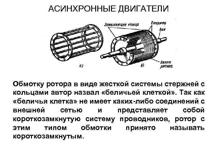 АСИНХРОННЫЕ ДВИГАТЕЛИ Обмотку ротора в виде жесткой системы стержней с кольцами автор назвал «беличьей