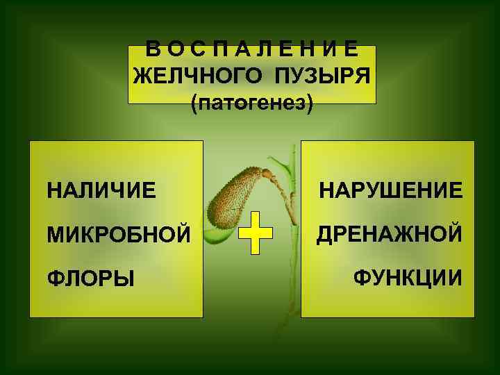 ВОСПАЛЕНИЕ ЖЕЛЧНОГО ПУЗЫРЯ (патогенез) НАЛИЧИЕ НАРУШЕНИЕ МИКРОБНОЙ ДРЕНАЖНОЙ ФЛОРЫ ФУНКЦИИ 