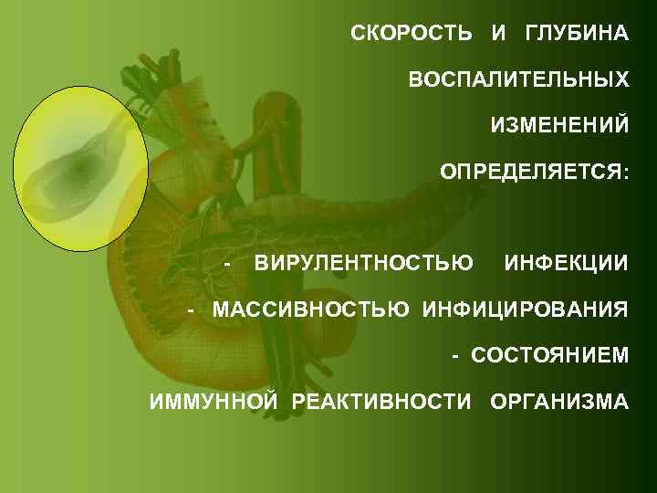 СКОРОСТЬ И ГЛУБИНА ВОСПАЛИТЕЛЬНЫХ ИЗМЕНЕНИЙ ОПРЕДЕЛЯЕТСЯ: - ВИРУЛЕНТНОСТЬЮ ИНФЕКЦИИ - МАССИВНОСТЬЮ ИНФИЦИРОВАНИЯ - СОСТОЯНИЕМ