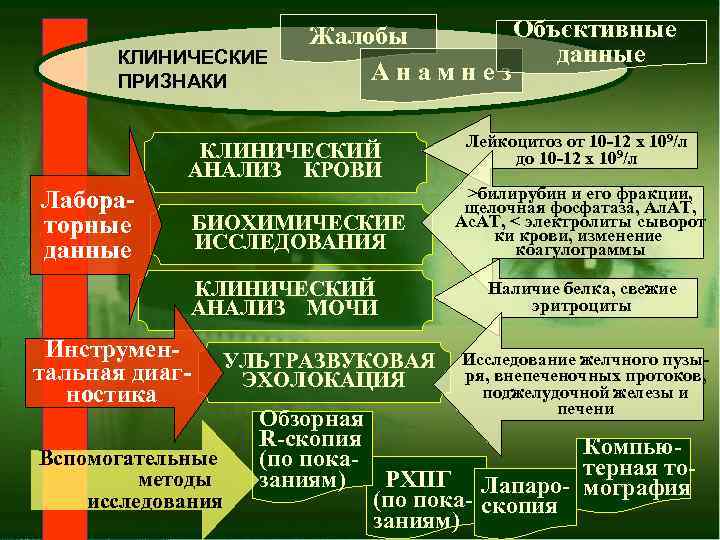 КЛИНИЧЕСКИЕ ПРИЗНАКИ Объєктивные Жалобы данные Анамнез КЛИНИЧЕСКИЙ АНАЛИЗ КРОВИ Лабораторные данные БИОХИМИЧЕСКИЕ ИССЛЕДОВАНИЯ КЛИНИЧЕСКИЙ