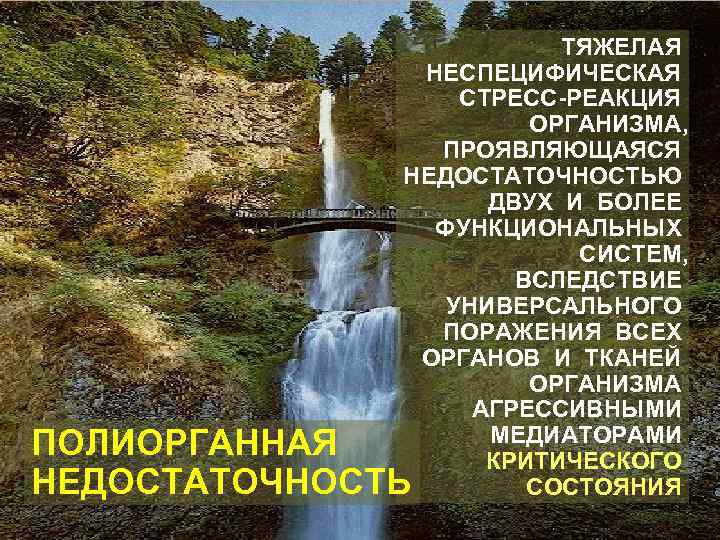 ТЯЖЕЛАЯ НЕСПЕЦИФИЧЕСКАЯ СТРЕСС-РЕАКЦИЯ ОРГАНИЗМА, ПРОЯВЛЯЮЩАЯСЯ НЕДОСТАТОЧНОСТЬЮ ДВУХ И БОЛЕЕ ФУНКЦИОНАЛЬНЫХ СИСТЕМ, ВСЛЕДСТВИЕ УНИВЕРСАЛЬНОГО ПОРАЖЕНИЯ