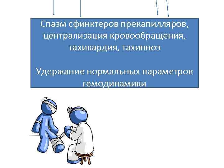 Спазм сфинктеров прекапилляров, централизация кровообращения, тахикардия, тахипноэ Удержание нормальных параметров гемодинамики 