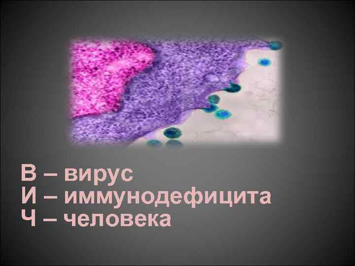 В – вирус И – иммунодефицита Ч – человека 