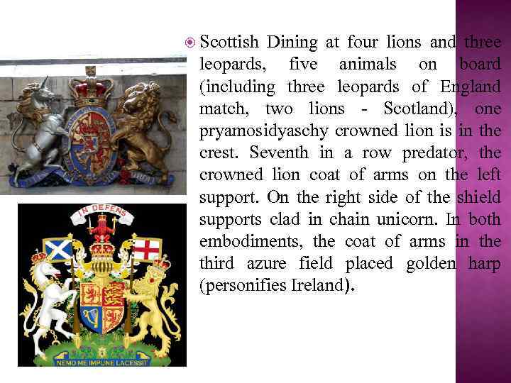  Scottish Dining at four lions and three leopards, five animals on board (including