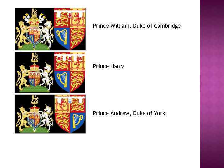 Prince William, Duke of Cambridge Prince Harry Prince Andrew, Duke of York 