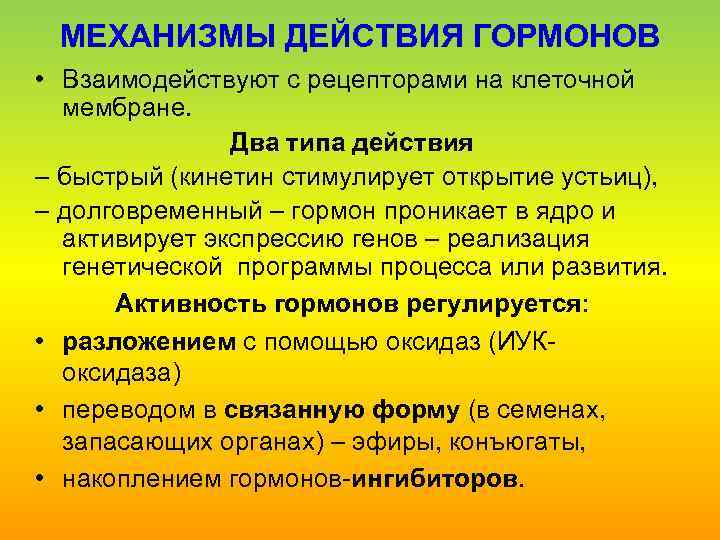 МЕХАНИЗМЫ ДЕЙСТВИЯ ГОРМОНОВ • Взаимодействуют с рецепторами на клеточной мембране. Два типа действия –
