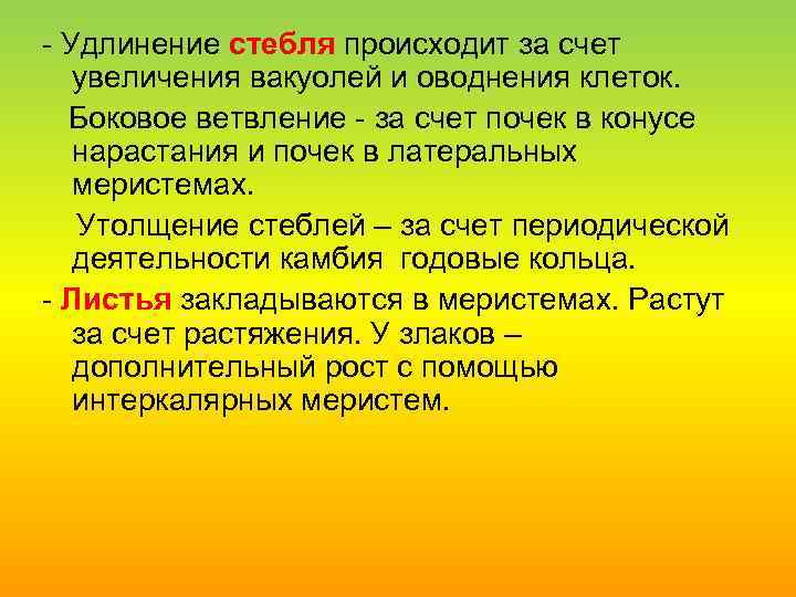  Удлинение стебля происходит за счет увеличения вакуолей и оводнения клеток. Боковое ветвление за
