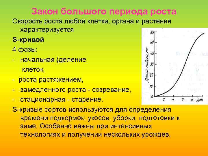 Рост характеризуется. Закон большого периода роста (закон Сакса). Кривая роста растений. Большая кривая роста растений. Скорость роста растений.