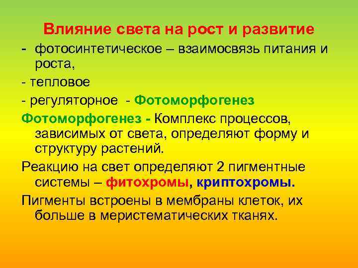 Влияние света на рост и развитие фотосинтетическое – взаимосвязь питания и роста, тепловое регуляторное