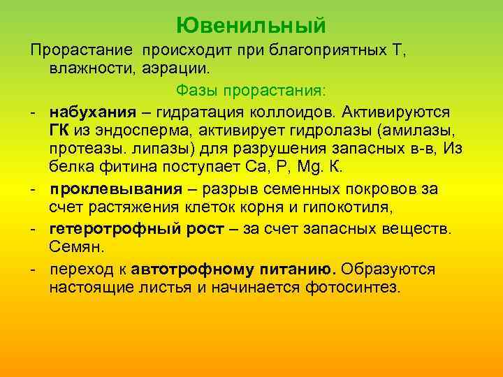 Ювенильный Прорастание происходит при благоприятных Т, влажности, аэрации. Фазы прорастания: набухания – гидратация коллоидов.