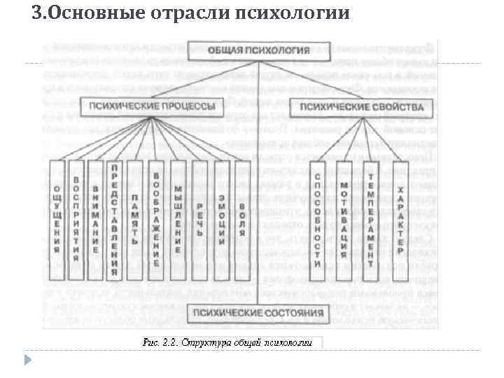 3. Основные отрасли психологии 