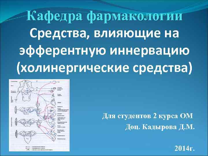 Кафедра фармакологии Средства, влияющие на эфферентную иннервацию (холинергические средства) Для студентов 2 курса ОМ