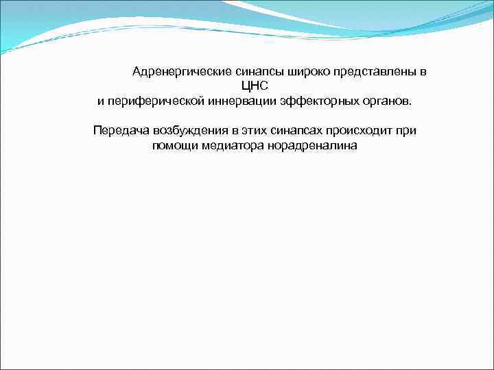 Адренергические синапсы широко представлены в ЦНС и периферической иннервации эффекторных органов. Передача возбуждения в