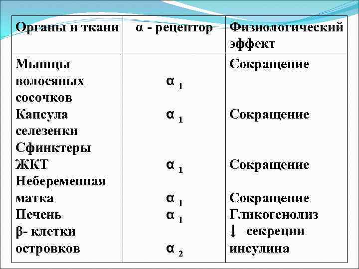 Органы и ткани Мышцы волосяных сосочков Капсула селезенки Сфинктеры ЖКТ Небеременная матка Печень β-