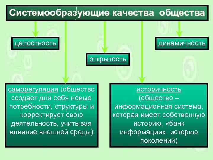 Системообразующие качества общества целостность динамичность открытость саморегуляция (общество создает для себя новые потребности, структуры