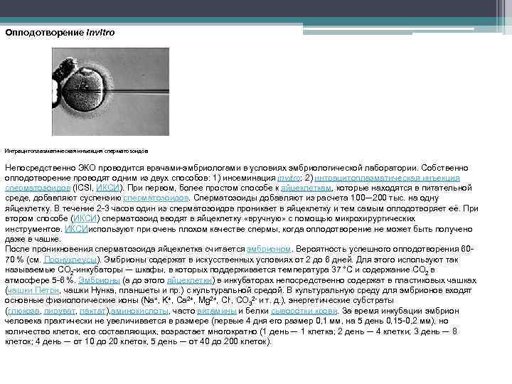 Оплодотворение invitro Интрацитоплазматическая инъекция сперматозоидов Непосредственно ЭКО проводится врачами-эмбриологами в условиях эмбриологической лаборатории. Собственно