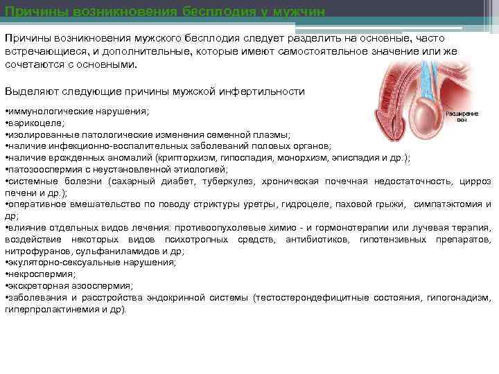 Причины возникновения бесплодия у мужчин Причины возникновения мужского бесплодия следует разделить на основные, часто