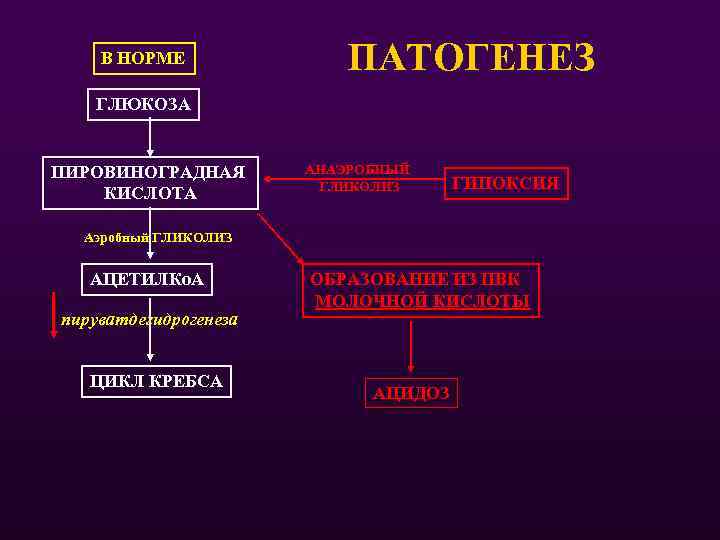 В НОРМЕ ПАТОГЕНЕЗ ГЛЮКОЗА ПИРОВИНОГРАДНАЯ КИСЛОТА АНАЭРОБНЫЙ ГЛИКОЛИЗ ГИПОКСИЯ Аэробный ГЛИКОЛИЗ АЦЕТИЛКо. А пируватдегидрогенеза