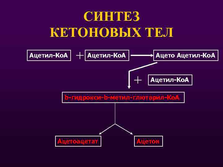 СИНТЕЗ КЕТОНОВЫХ ТЕЛ Ацетил-Ко. А Ацето Ацетил-Ко. А b-гидрокси-b-метил-глютарил-Ко. А Ацетоацетат Ацетон 