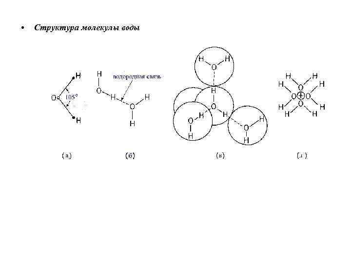  • Структура молекулы воды 