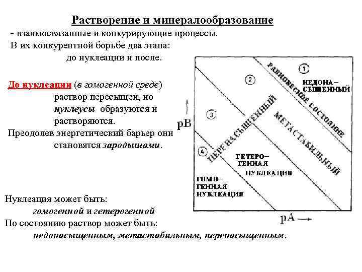Растворение и минералообразование - взаимосвязанные и конкурирующие процессы. В их конкурентной борьбе два этапа: