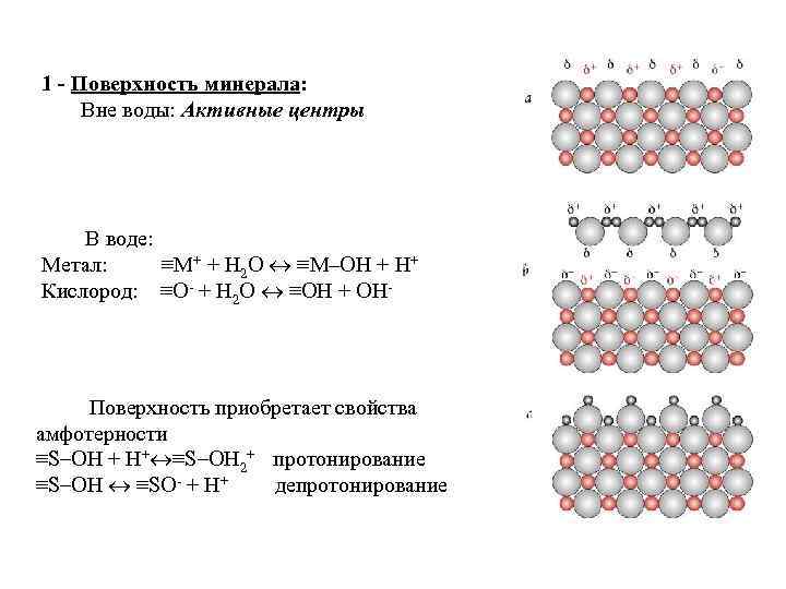 1 - Поверхность минерала: Вне воды: Активные центры В воде: Метал: ≡M+ + H