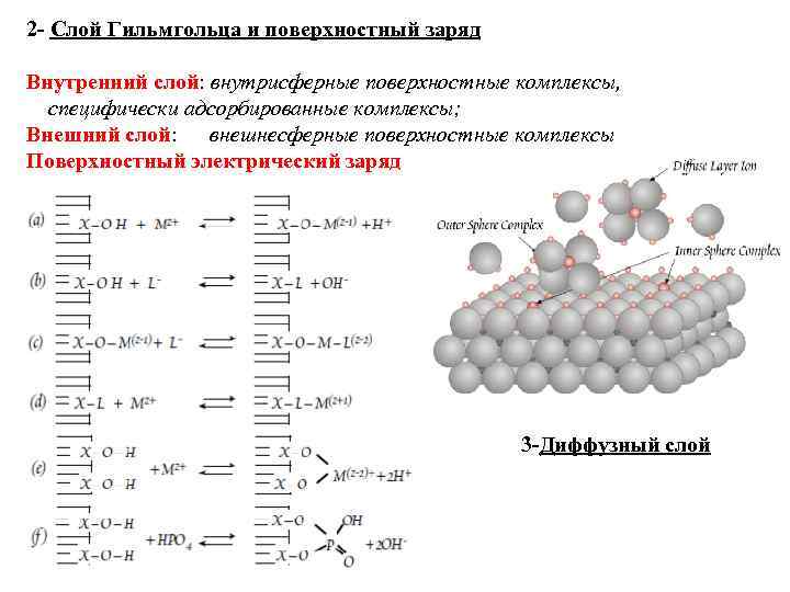 2 - Слой Гильмгольца и поверхностный заряд Внутренний слой: внутрисферные поверхностные комплексы, специфически адсорбированные