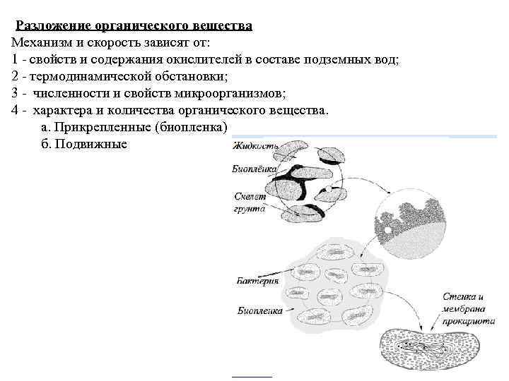 Разложение органического вещества Механизм и скорость зависят от: 1 - свойств и содержания окислителей